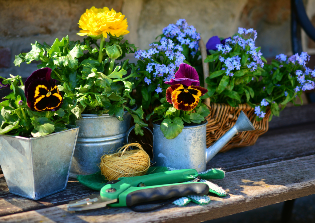 flower plants in the garden with hanging soap bar