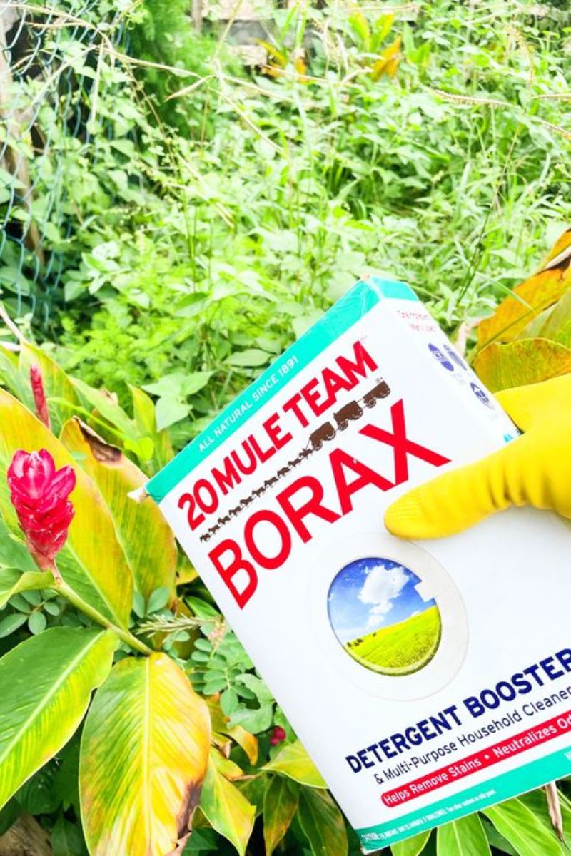 Here's Why Gardeners Spread Borax Over Their Garden Beds