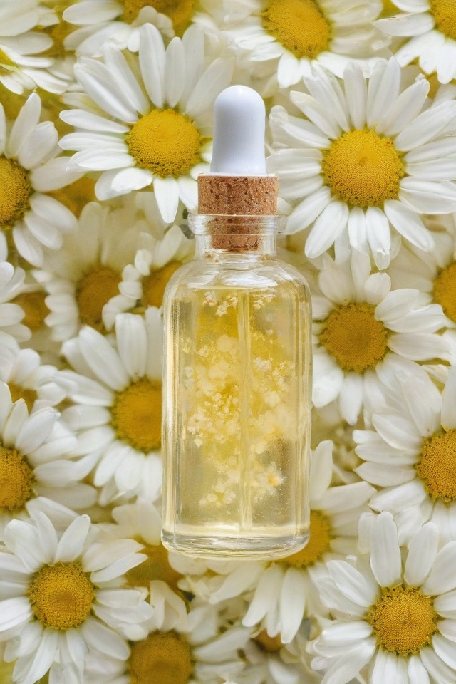Chamomile Essential Oil