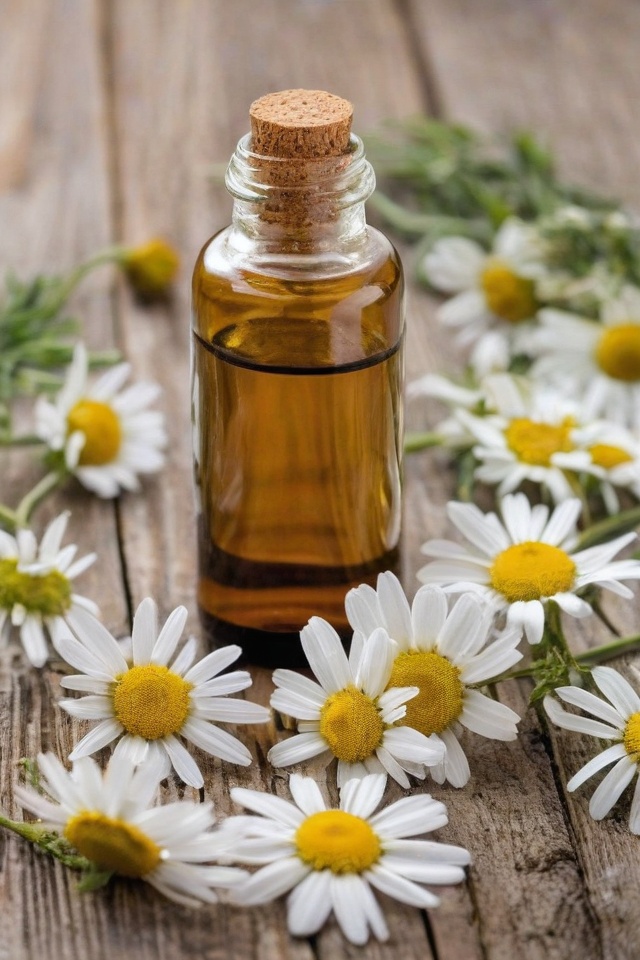 Chamomile Essential Oil
