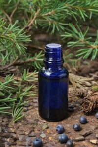 Juniper Berry Essential Oil