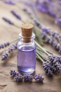 Lavender Essential Oil