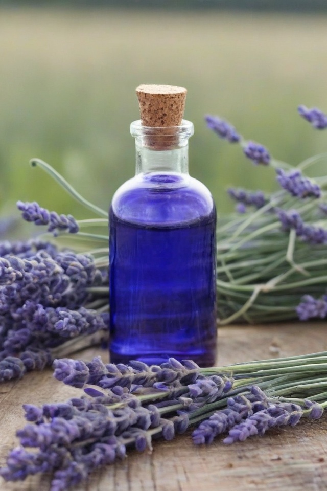 Lavender Essential Oil