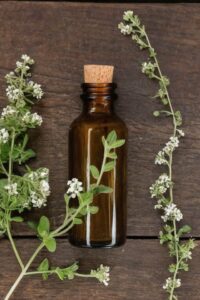 Oregano Essential Oil