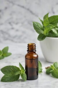 Peppermint Essential Oil