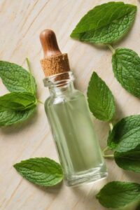 Peppermint Essential Oil