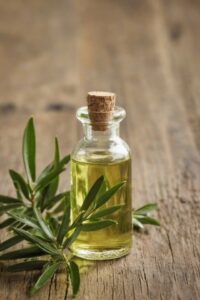 Tea Tree Oil