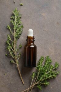 Thyme Essential Oil