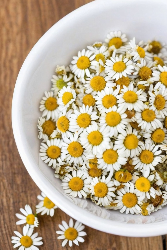8 Herbs For Teething Babies