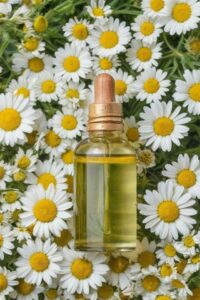 Chamomile Essential Oil