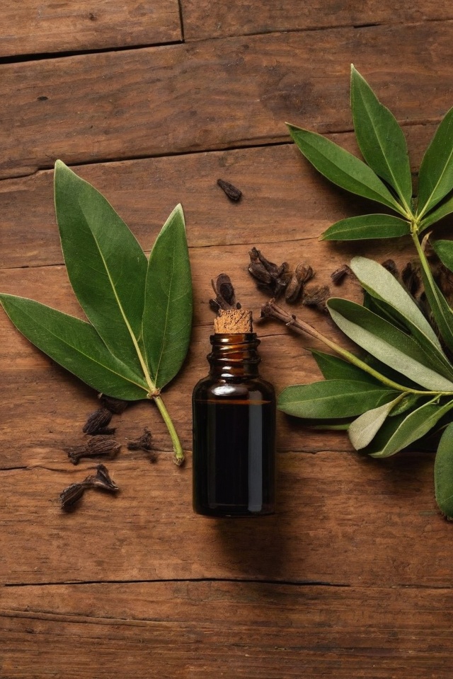Clove Essential Oil