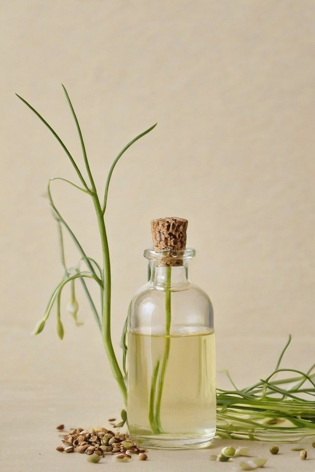 Fennel Essential Oil