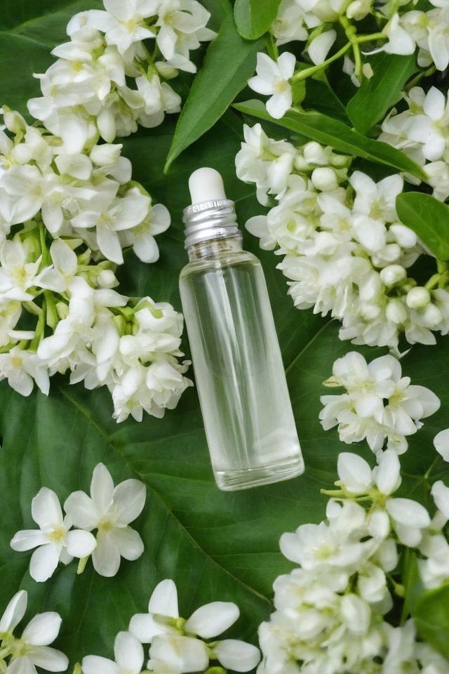 Jasmine Essential Oil