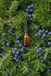 Juniper Berry Essential Oil