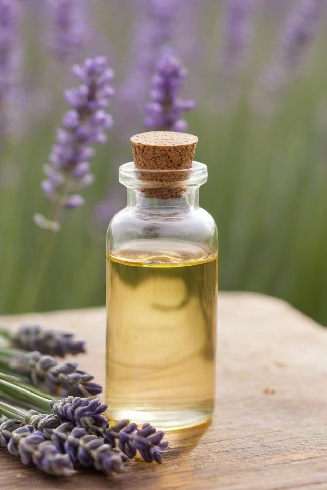 Lavender Essential Oil