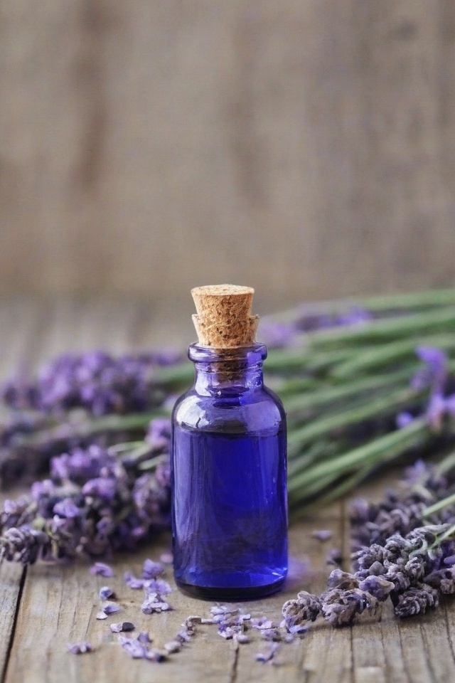 Lavender Essential Oil