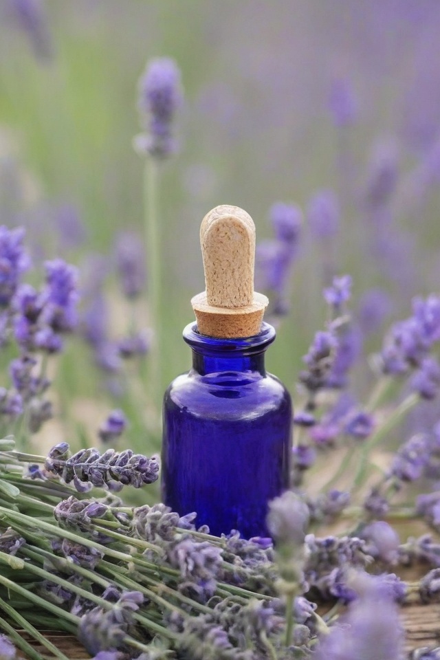 Lavender Essential Oil