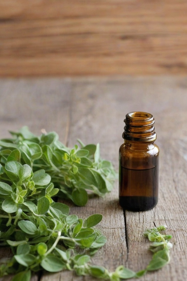Marjoram Essential Oil