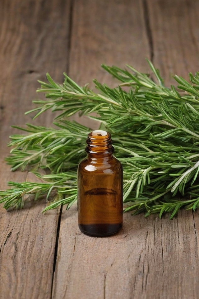 Rosemary Essential Oil