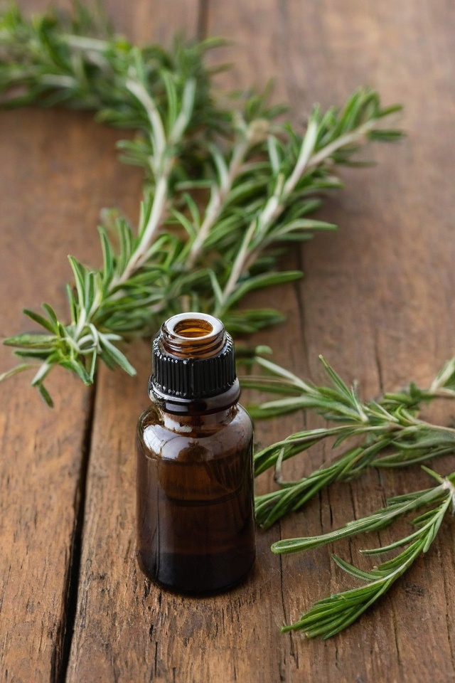 Rosemary Essential Oil