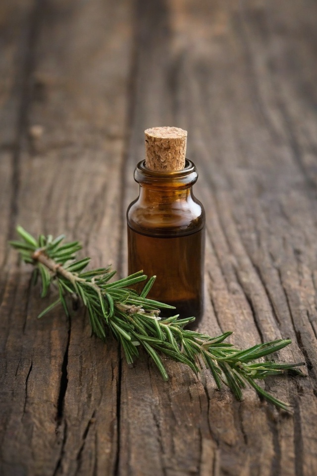 Rosemary Essential Oil