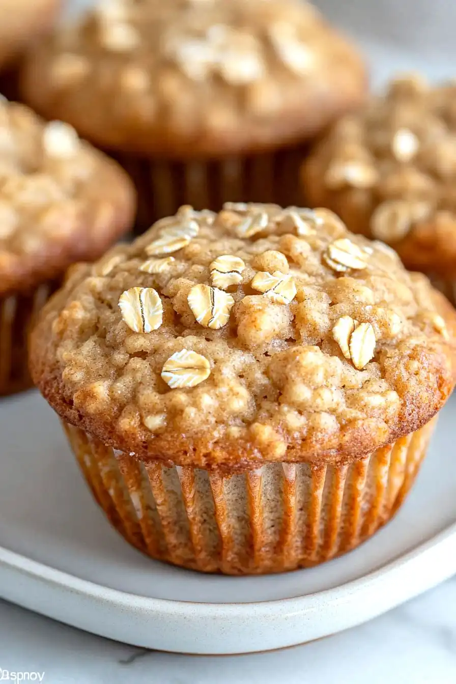 Moist Applesauce Oatmeal Muffins
