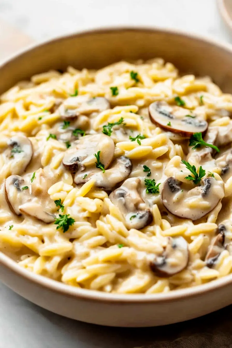 Tasty Orzo with Mushrooms