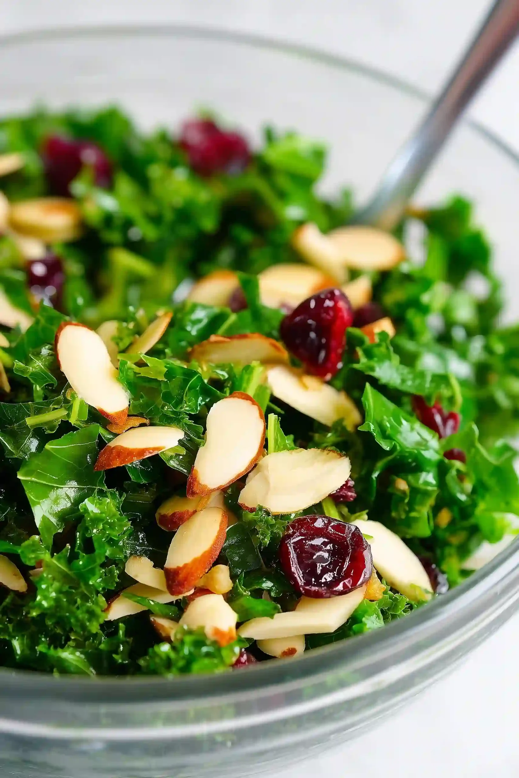 kale salad with cranberries
