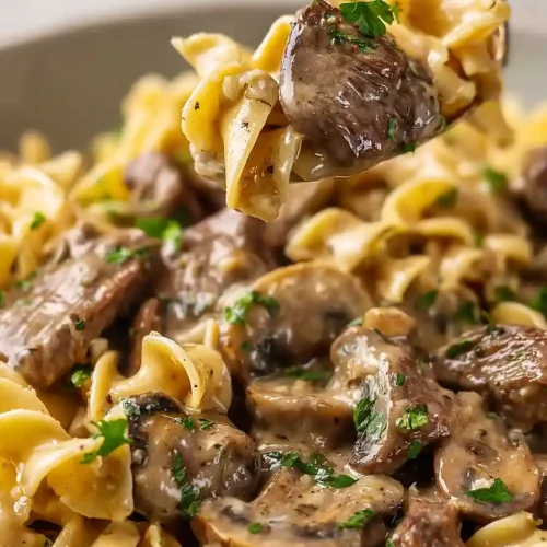 beef stroganoff with noodles