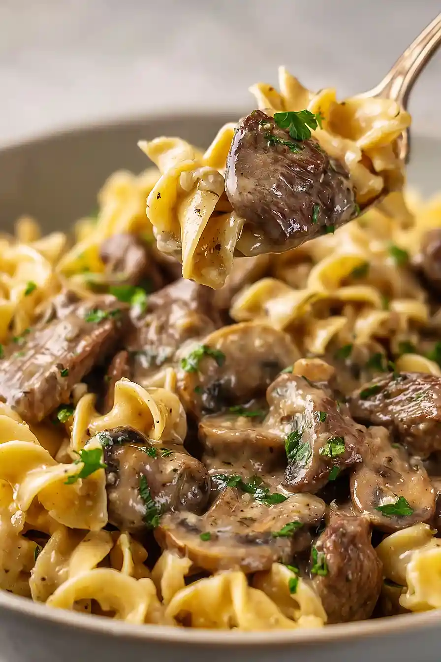 beef stroganoff with noodles