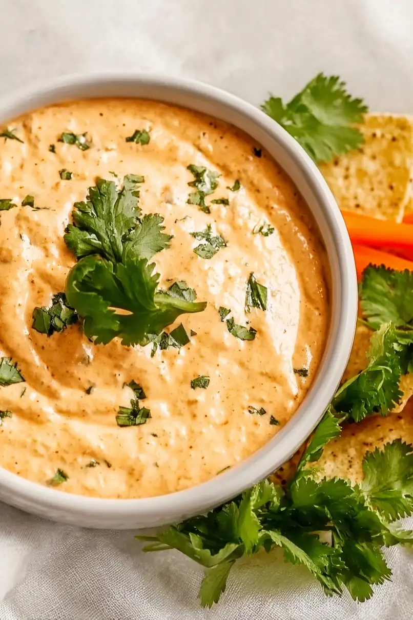Easy Greek Yogurt Salsa Dip