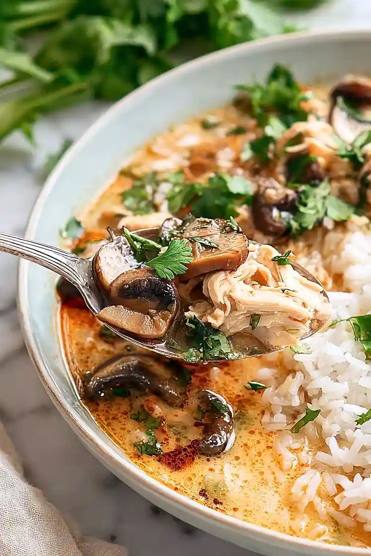 thai chicken and rice soup